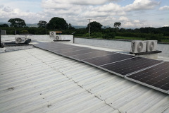 conjunto panel solar